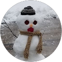 C Soko profile picture