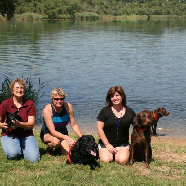 dog-boarding-training-mchenry-il-127