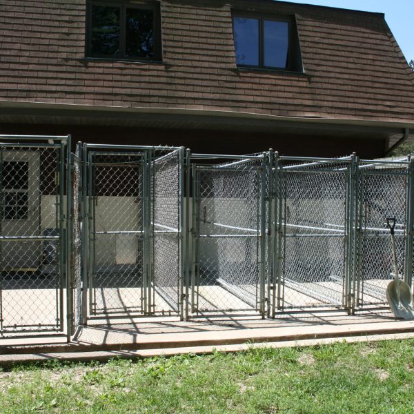 dog-boarding-training-mchenry-il-149