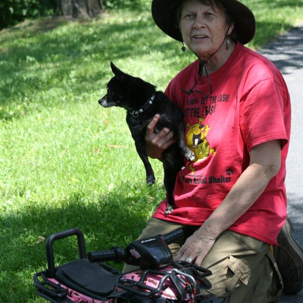 dog-boarding-training-mchenry-il-157